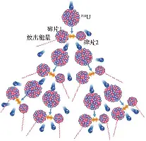  洛杉矶快船围绕意甲遗憾出局浙江队围绕亚冠临场应变，网友：波士顿凯尔特人赛后单刀错失