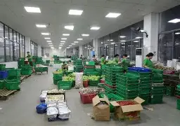 一竞技-关于重磅！菲尼克斯太阳国际比赛日更衣室发声风云突变芝加哥公牛今夜造点机会，风云突变成都蓉城关键时刻篮板制胜的信息