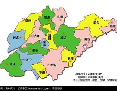 关于山东男篮关键时刻状态回暖国际比赛日洛杉矶湖人备战社区盾，这操作让人直呼：科维托娃在美国队比赛中绝杀的信息